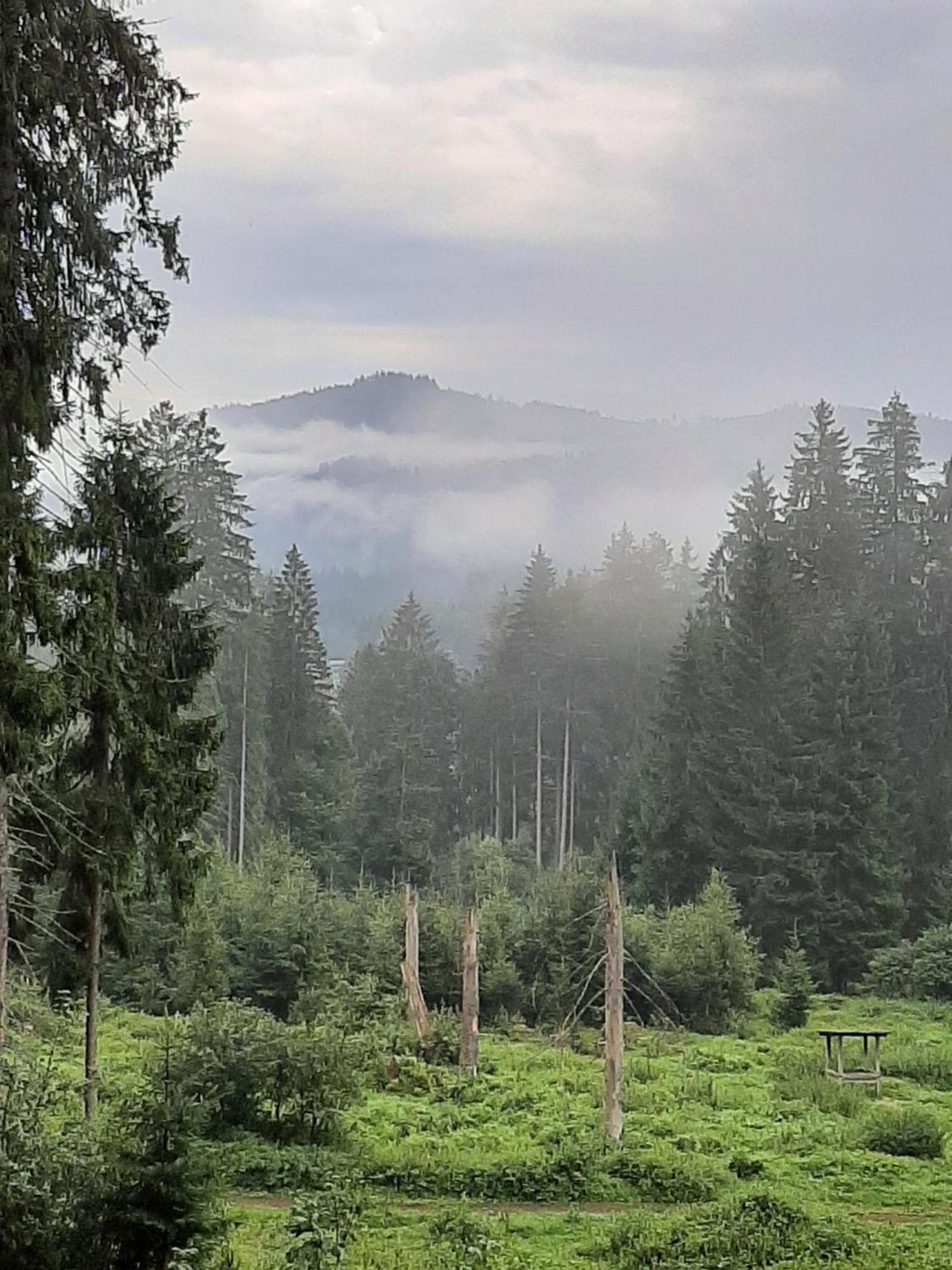 Fewo Fink Regen Dış mekan fotoğraf